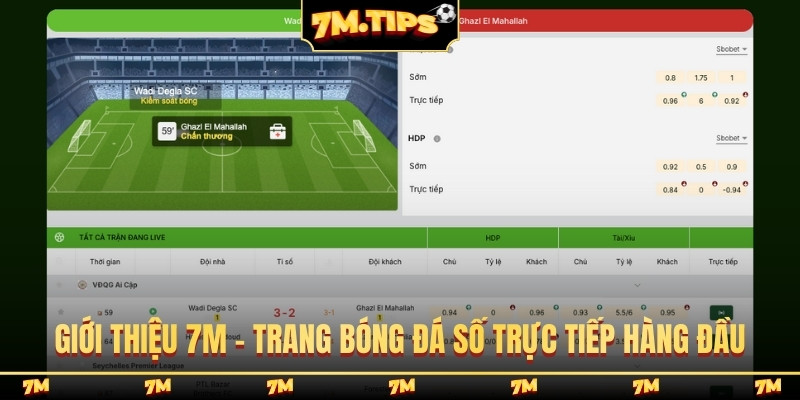 Giới thiệu 7M - trang bóng đá số trực tiếp hàng đầu